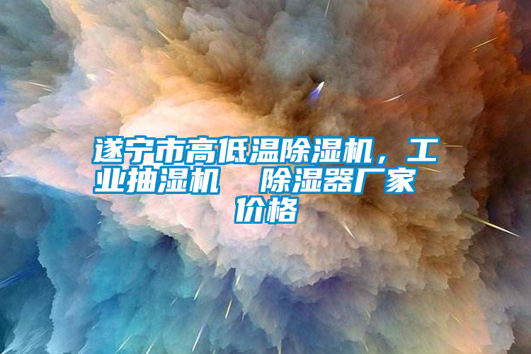 遂寧市高低溫除濕機(jī)，工業(yè)抽濕機(jī)  除濕器廠家 價(jià)格
