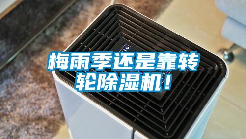 梅雨季還是靠轉(zhuǎn)輪除濕機(jī)！