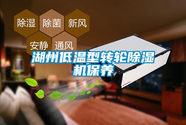 湖州低溫型轉輪除濕機保養(yǎng)