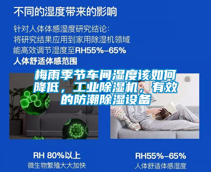 梅雨季節(jié)車間濕度該如何降低，工業(yè)除濕機，有效的防潮除濕設備