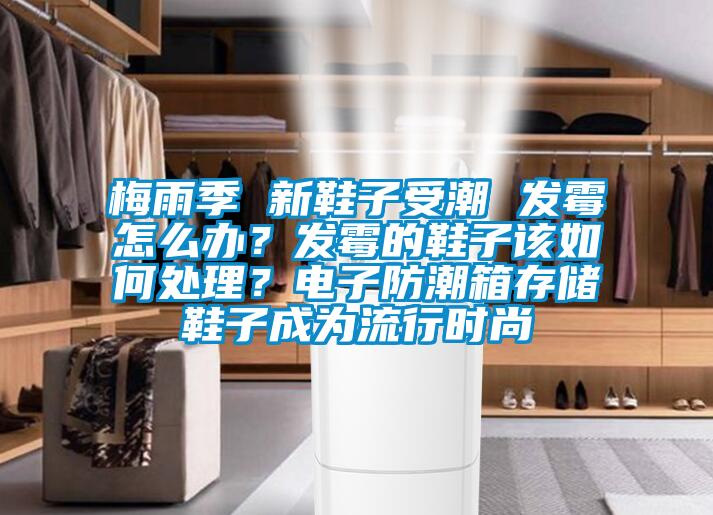 梅雨季 新鞋子受潮 發(fā)霉怎么辦？發(fā)霉的鞋子該如何處理？電子防潮箱存儲(chǔ)鞋子成為流行時(shí)尚