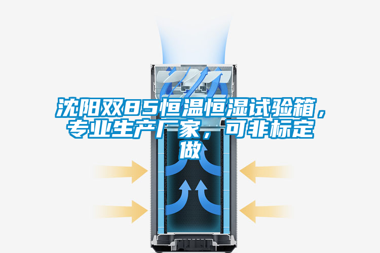 沈陽雙85恒溫恒濕試驗(yàn)箱，專業(yè)生產(chǎn)廠家，可非標(biāo)定做
