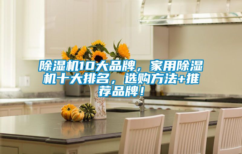 除濕機10大品牌，家用除濕機十大排名，選購方法+推薦品牌！
