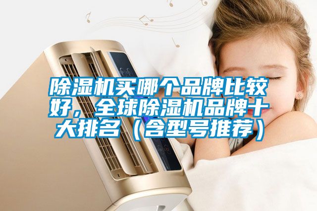 除濕機買哪個品牌比較好，全球除濕機品牌十大排名（含型號推薦）