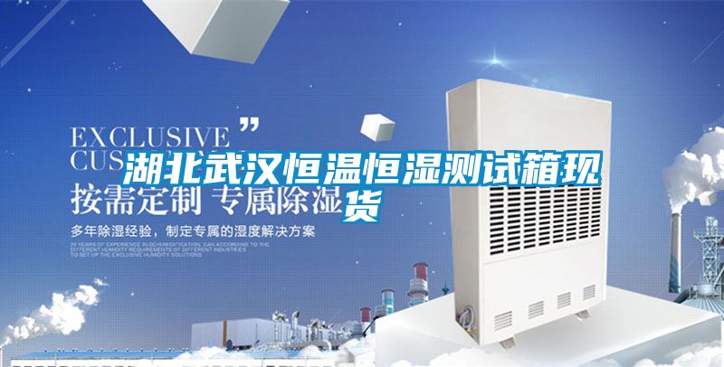 湖北武漢恒溫恒濕測試箱現(xiàn)貨