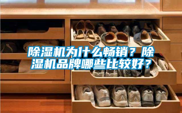 除濕機為什么暢銷？除濕機品牌哪些比較好？