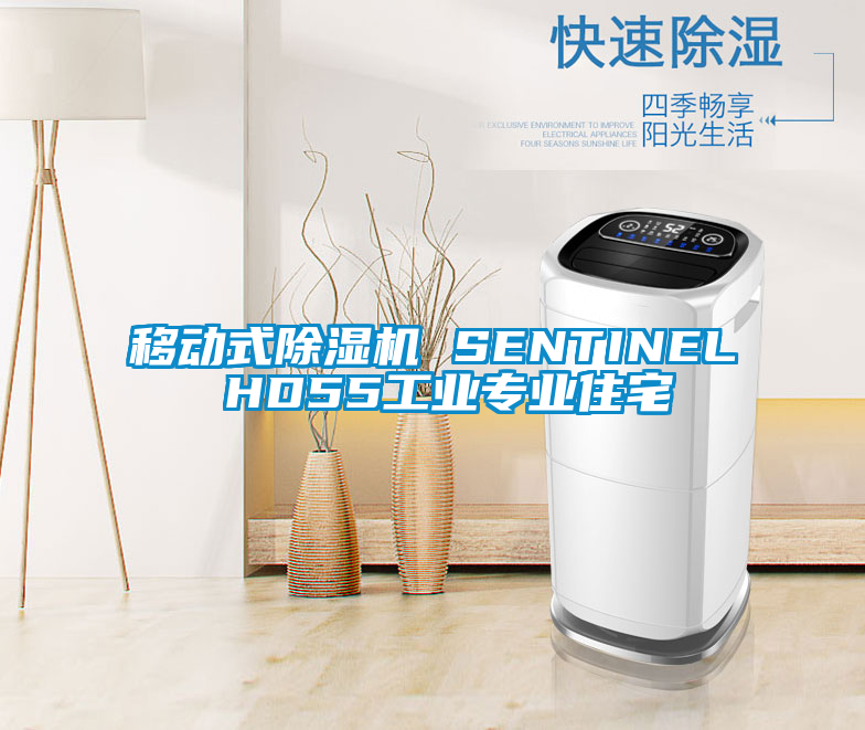 移動(dòng)式除濕機(jī) SENTINEL HD55工業(yè)專(zhuān)業(yè)住宅