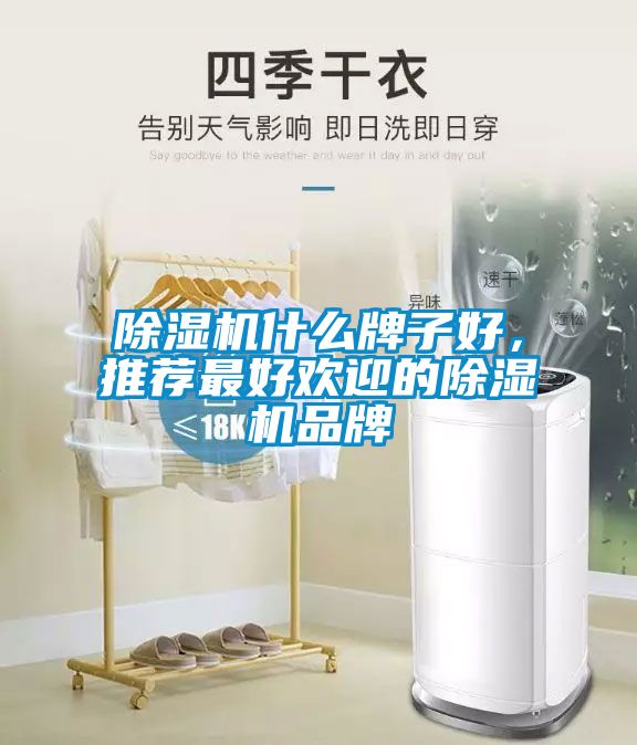 除濕機(jī)什么牌子好，推薦最好歡迎的除濕機(jī)品牌