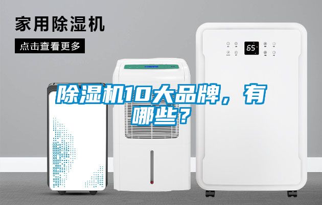 除濕機(jī)10大品牌，有哪些？