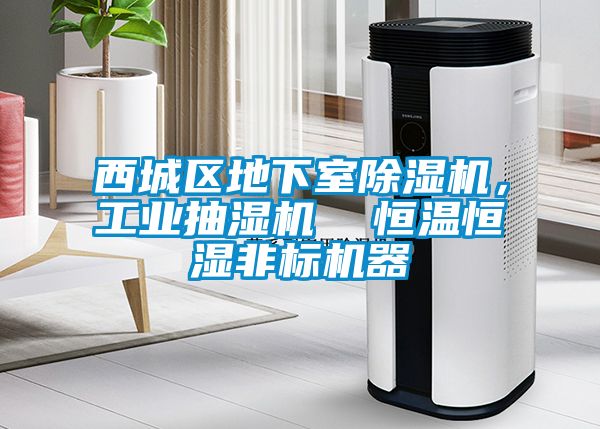 西城區(qū)地下室除濕機(jī)，工業(yè)抽濕機(jī)  恒溫恒濕非標(biāo)機(jī)器