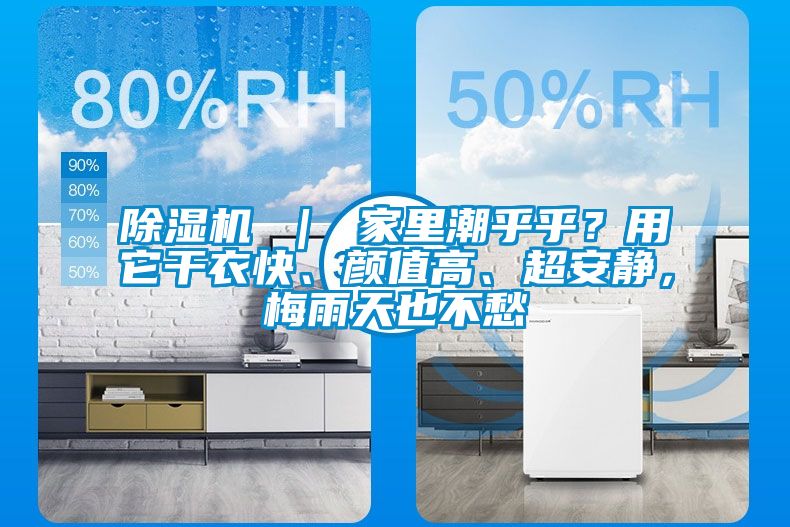 除濕機 ｜ 家里潮乎乎？用它干衣快、顏值高、超安靜，梅雨天也不愁