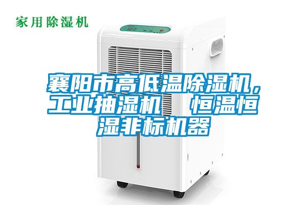 襄陽(yáng)市高低溫除濕機(jī)，工業(yè)抽濕機(jī)  恒溫恒濕非標(biāo)機(jī)器