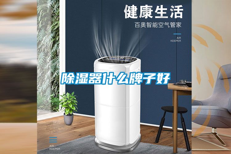 除濕器什么牌子好