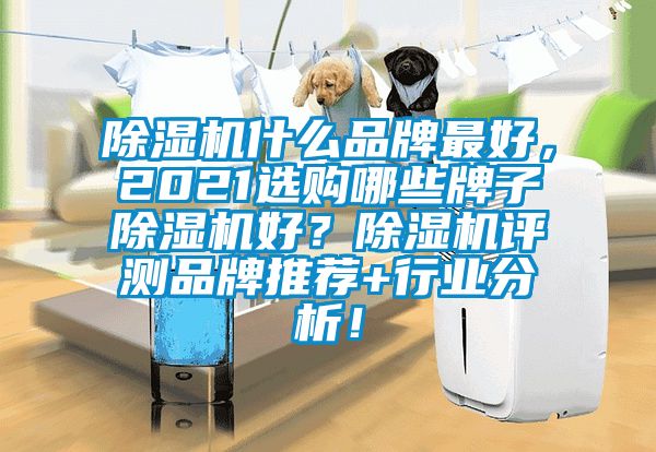 除濕機(jī)什么品牌最好，2021選購(gòu)哪些牌子除濕機(jī)好？除濕機(jī)評(píng)測(cè)品牌推薦+行業(yè)分析！