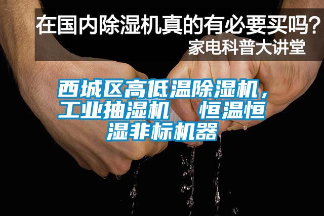 西城區(qū)高低溫除濕機，工業(yè)抽濕機  恒溫恒濕非標(biāo)機器