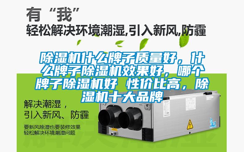 除濕機(jī)什么牌子質(zhì)量好，什么牌子除濕機(jī)效果好，哪個(gè)牌子除濕機(jī)好 性?xún)r(jià)比高，除濕機(jī)十大品牌