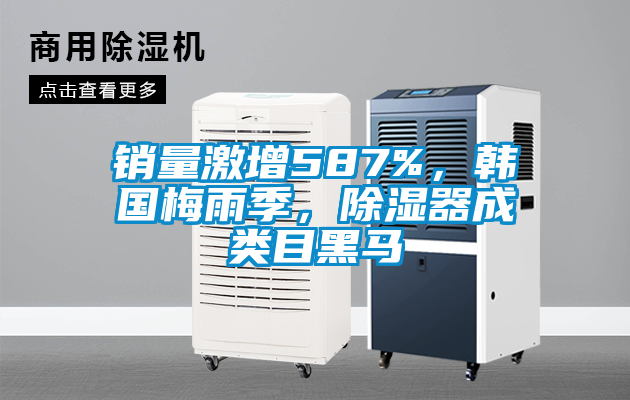 銷量激增587%，韓國(guó)梅雨季，除濕器成類目黑馬