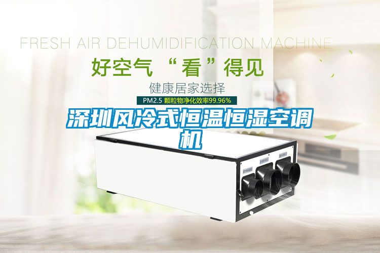 深圳風冷式恒溫恒濕空調(diào)機