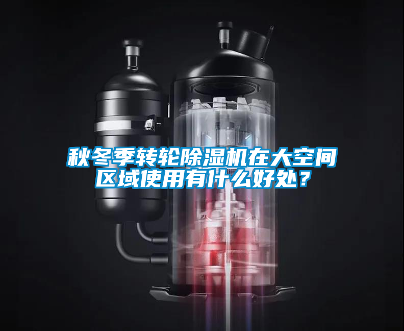秋冬季轉(zhuǎn)輪除濕機(jī)在大空間區(qū)域使用有什么好處？
