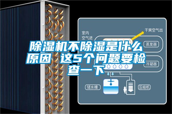 除濕機(jī)不除濕是什么原因 這5個(gè)問(wèn)題要檢查一下