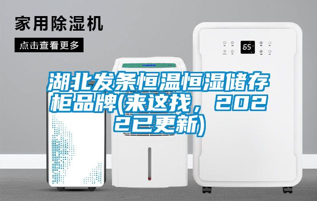 湖北發(fā)條恒溫恒濕儲(chǔ)存柜品牌(來這找，2022已更新)