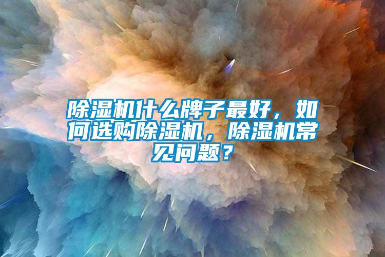 除濕機(jī)什么牌子最好，如何選購除濕機(jī)，除濕機(jī)常見問題？
