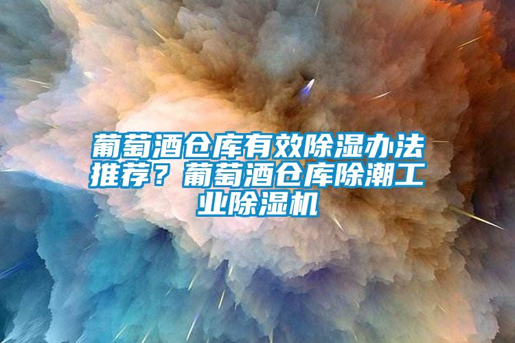 葡萄酒倉(cāng)庫(kù)有效除濕辦法推薦？葡萄酒倉(cāng)庫(kù)除潮工業(yè)除濕機(jī)