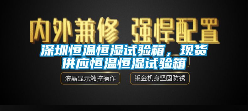 深圳恒溫恒濕試驗箱，現(xiàn)貨供應(yīng)恒溫恒濕試驗箱