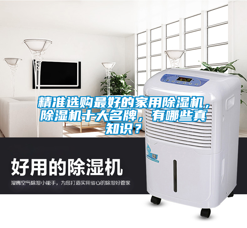 精準選購最好的家用除濕機，除濕機十大名牌，有哪些真知識？