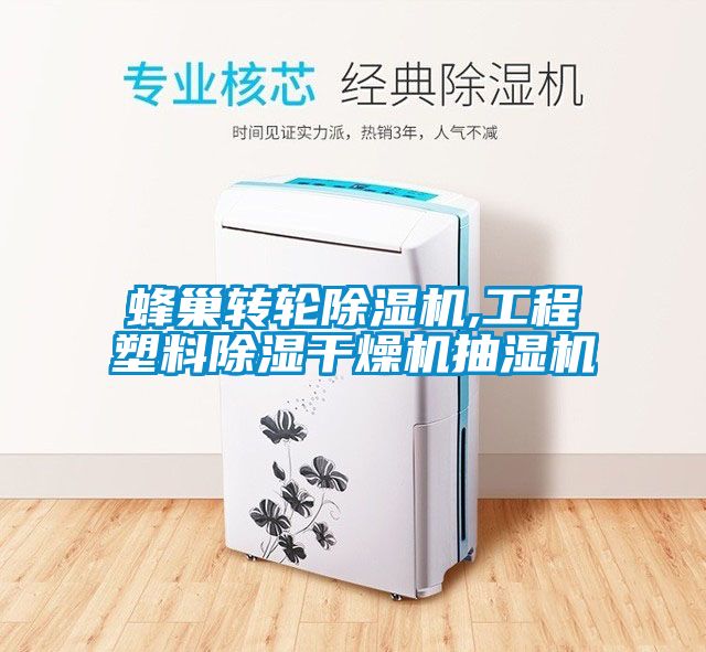 蜂巢轉(zhuǎn)輪除濕機,工程塑料除濕干燥機抽濕機