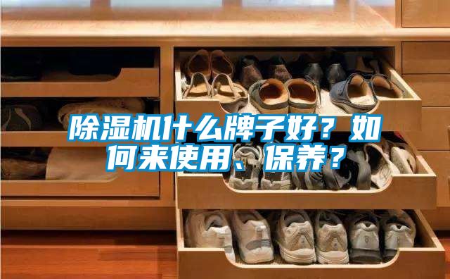 除濕機(jī)什么牌子好？如何來使用、保養(yǎng)？