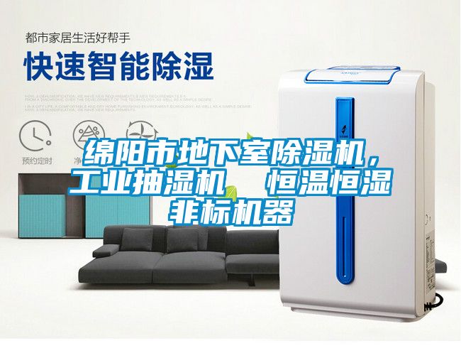 綿陽市地下室除濕機(jī)，工業(yè)抽濕機(jī)  恒溫恒濕非標(biāo)機(jī)器