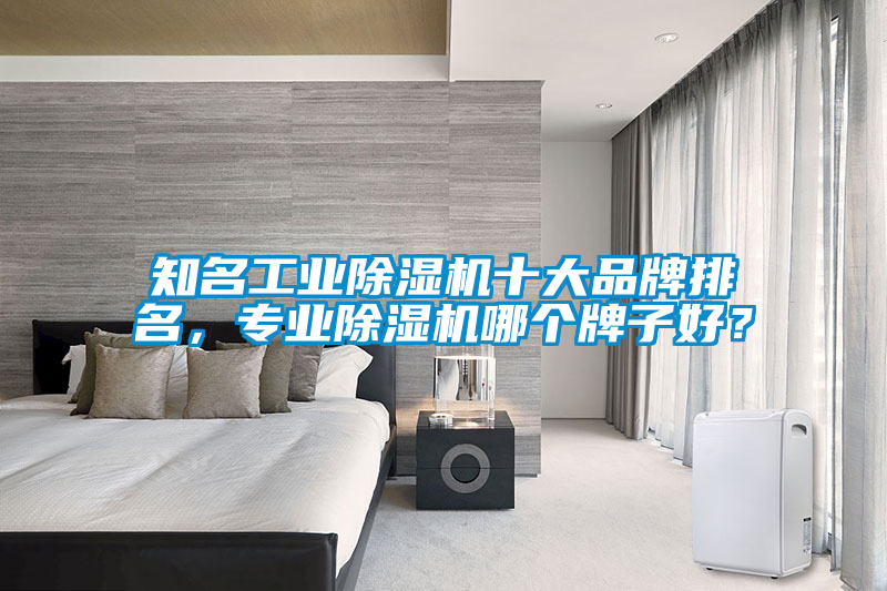 知名工業(yè)除濕機(jī)十大品牌排名，專業(yè)除濕機(jī)哪個牌子好？