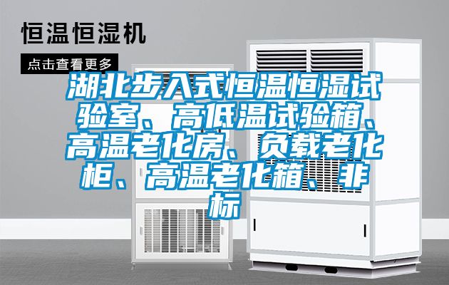 湖北步入式恒溫恒濕試驗室、高低溫試驗箱、高溫老化房、負(fù)載老化柜、高溫老化箱、非標(biāo)