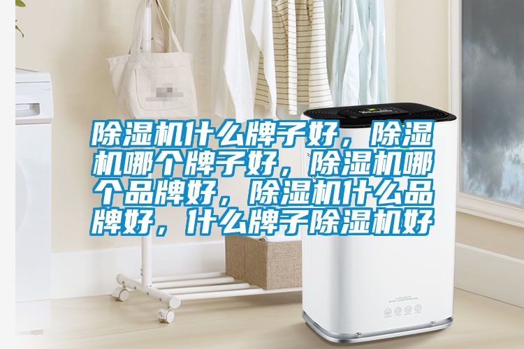 除濕機什么牌子好，除濕機哪個牌子好，除濕機哪個品牌好，除濕機什么品牌好，什么牌子除濕機好