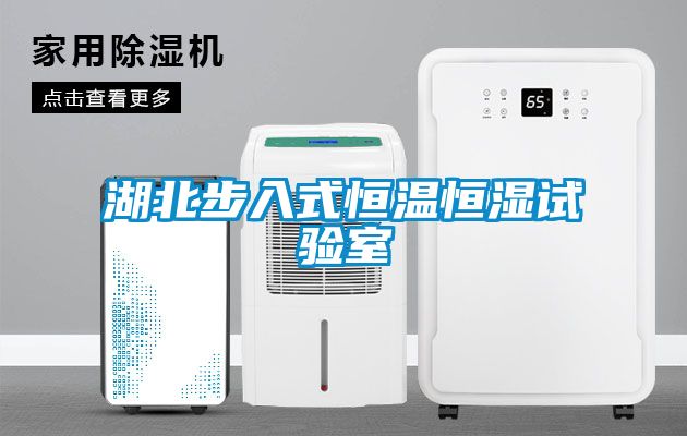 湖北步入式恒溫恒濕試驗(yàn)室