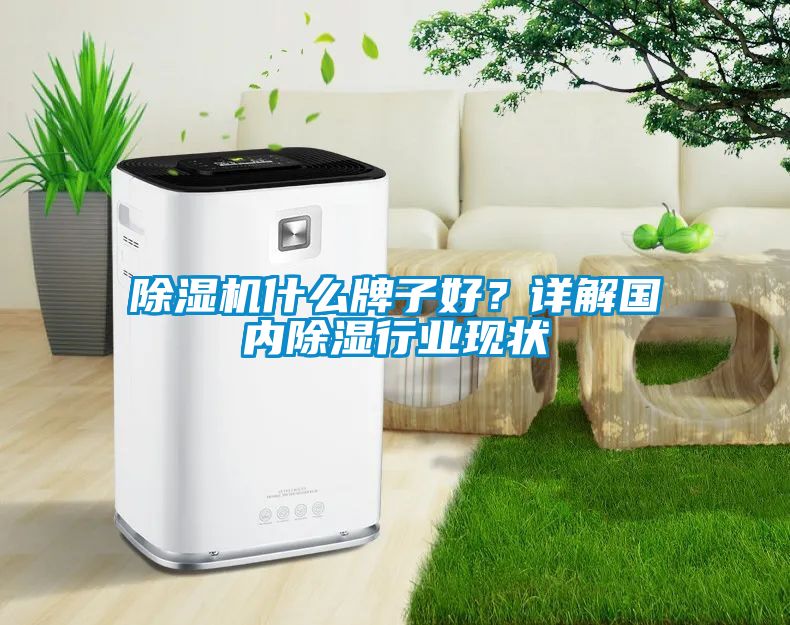 除濕機(jī)什么牌子好？詳解國(guó)內(nèi)除濕行業(yè)現(xiàn)狀