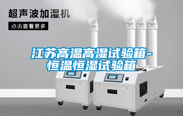 江蘇高溫高濕試驗(yàn)箱-恒溫恒濕試驗(yàn)箱
