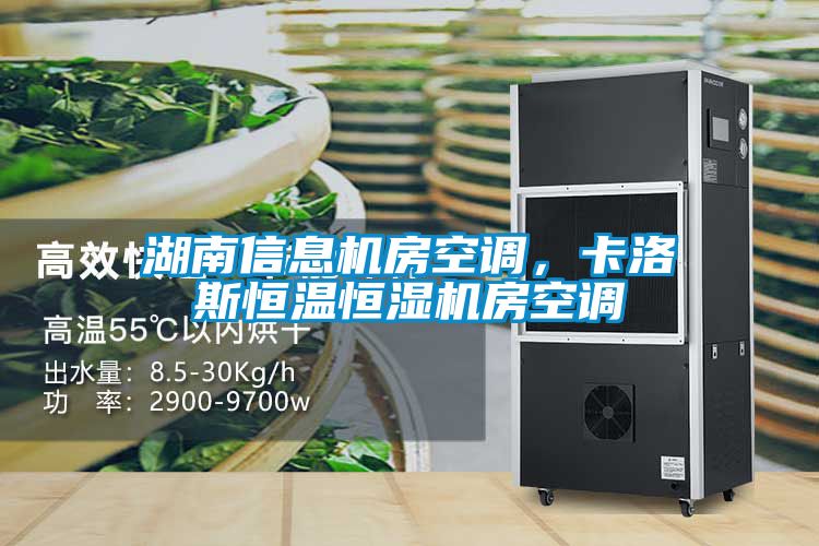 湖南信息機房空調(diào)，卡洛斯恒溫恒濕機房空調(diào)