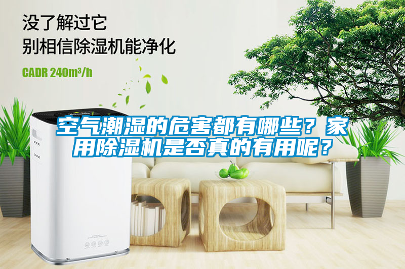 空氣潮濕的危害都有哪些？家用除濕機(jī)是否真的有用呢？