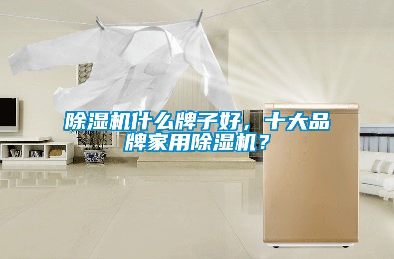 除濕機(jī)什么牌子好，十大品牌家用除濕機(jī)？