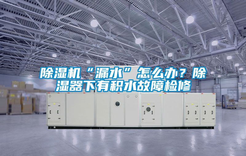 除濕機(jī)“漏水”怎么辦？除濕器下有積水故障檢修