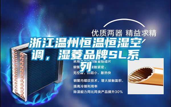 浙江溫州恒溫恒濕空調(diào)，濕菱品牌SL系列