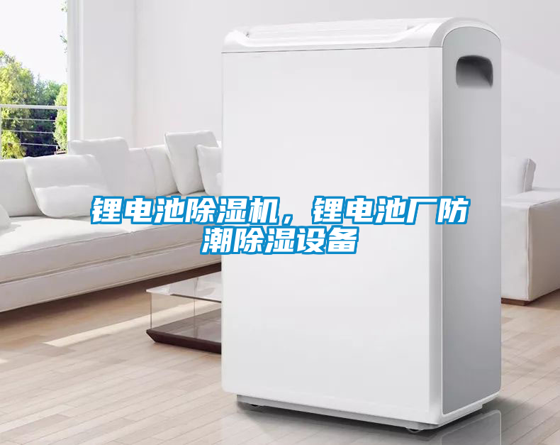 鋰電池除濕機，鋰電池廠防潮除濕設(shè)備