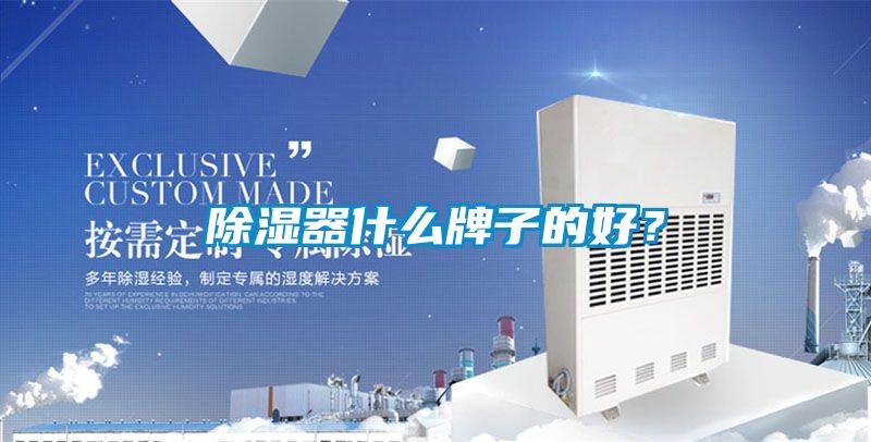 除濕器什么牌子的好？
