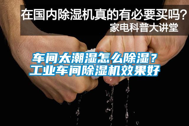 車間太潮濕怎么除濕？工業(yè)車間除濕機(jī)效果好