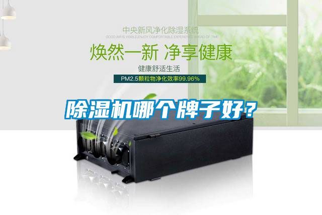 除濕機(jī)哪個牌子好？