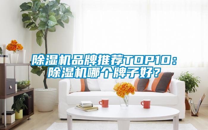 除濕機(jī)品牌推薦TOP10：除濕機(jī)哪個牌子好？