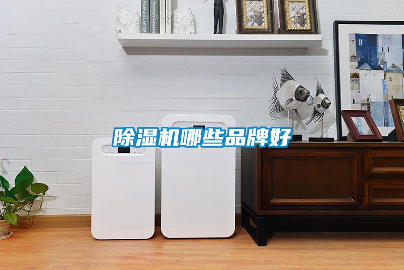 除濕機(jī)哪些品牌好
