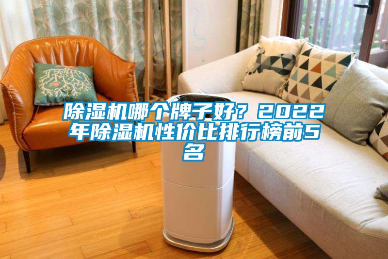除濕機哪個牌子好？2022年除濕機性價比排行榜前5名